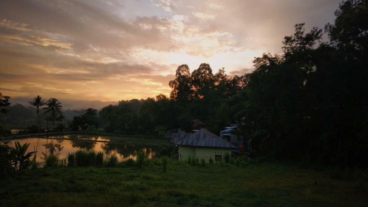 Mama Tia Family Homestay Rantepao Dış mekan fotoğraf